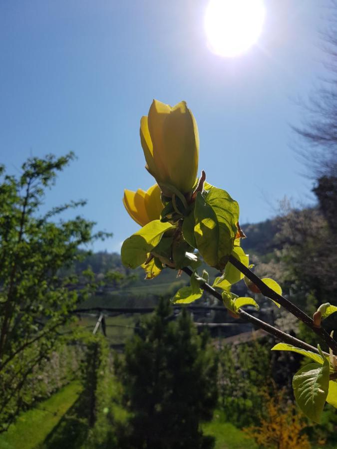 Pension Gartscheid Лана Экстерьер фото