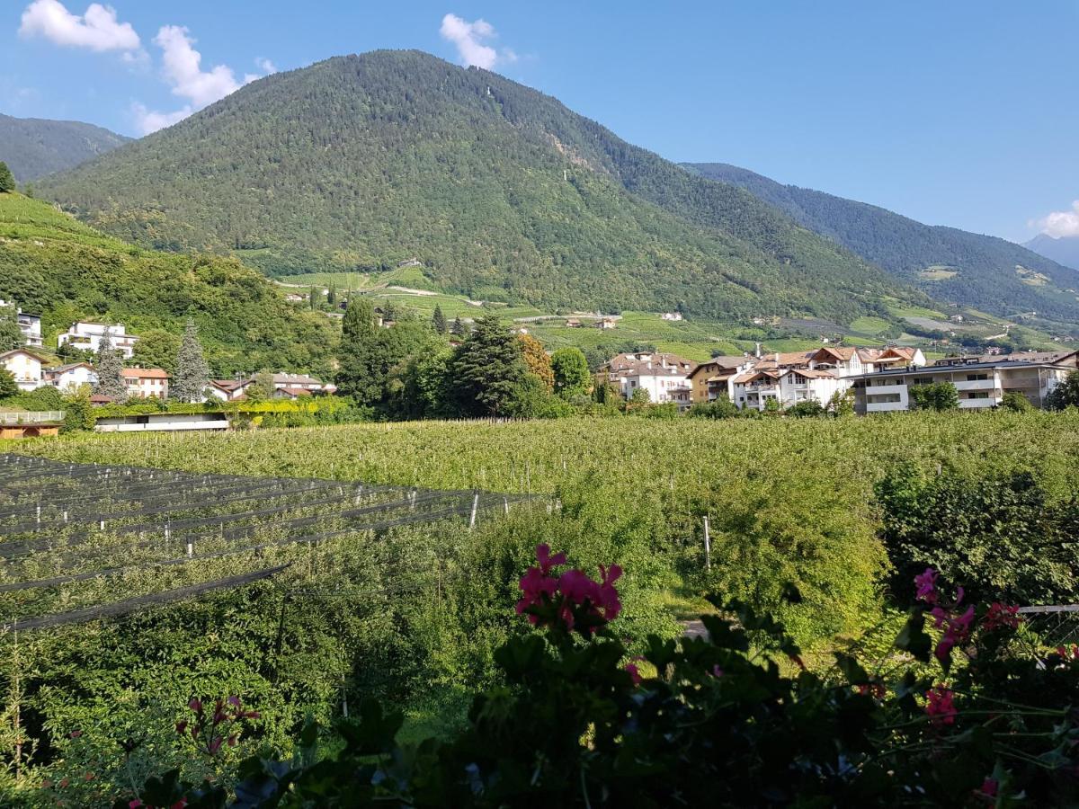 Pension Gartscheid Лана Экстерьер фото
